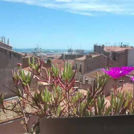 Terrasse De La Revolution דירה
